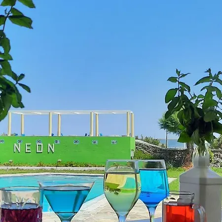 Neon 2*